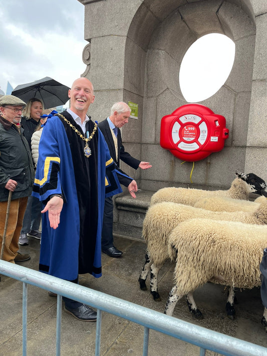 Taking part in the Sheep Drive - Sunday 28 September 2025